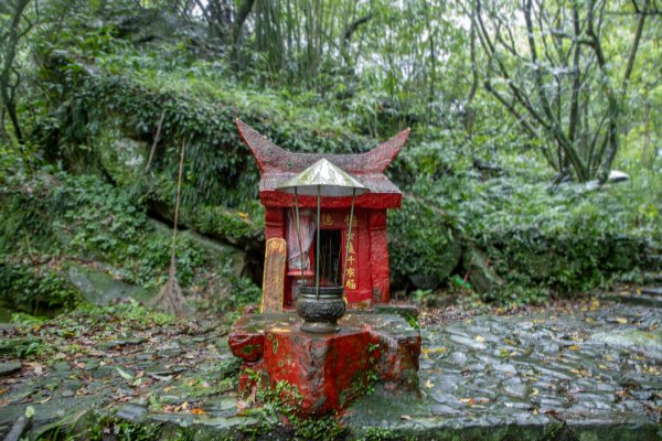 暖東峽谷/草嶺舊隧道2816506