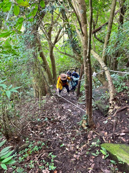 2022-4 觀音山之北橫古道上硬漢嶺1686589