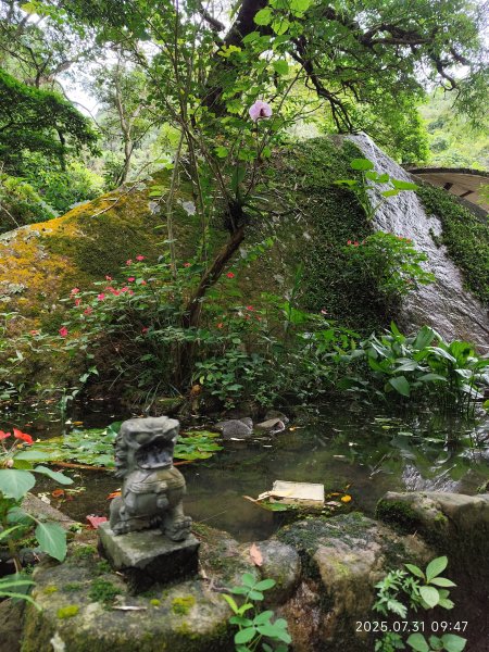 大湖公園→大溝溪生態治水園區→圓覺寺步道→圓覺瀑布→圓覺寺→鯉魚山步道【臺北大縱走 4、臺北健走趣】2849099