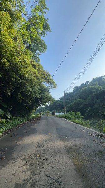 新竹橫山-大山背麒麟步道2628821