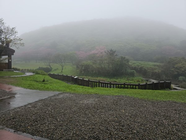 2026年臺北大縱走第一段：關渡至二子坪3010872