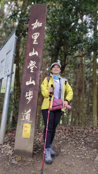 雨中的加里山步道1251321