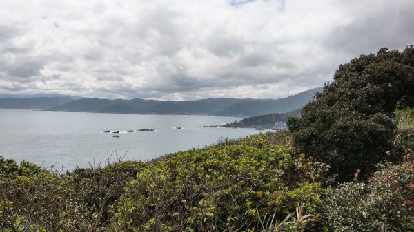 野柳地質公園岬上步道封面