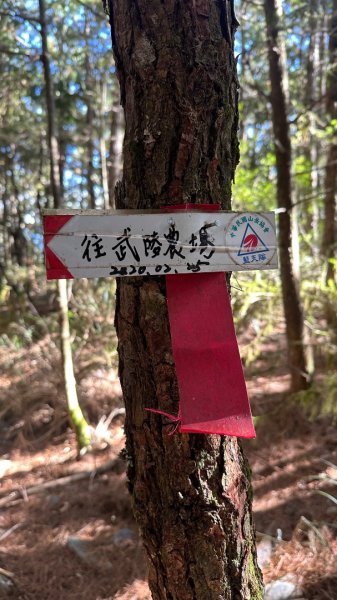 馬武霸下武陵2962376