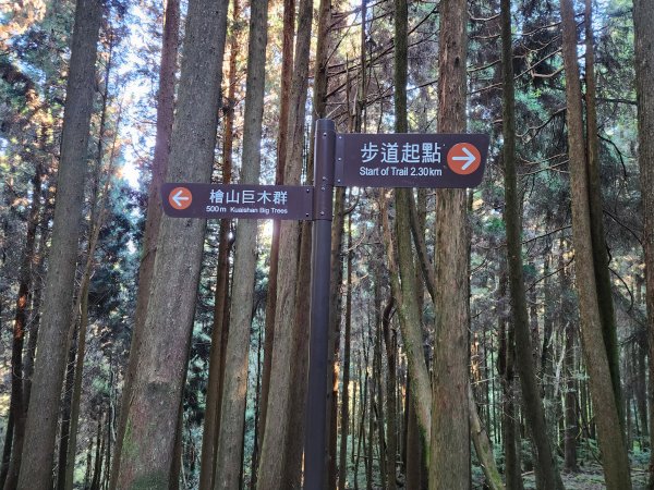 檜山巨木森林步道2394998