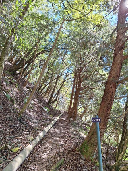 石山引水道202512112959544