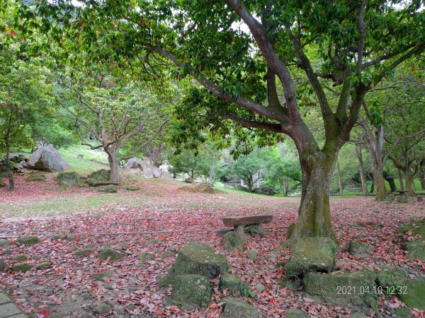 溪洲山(溪洲公園上福山巖下)1344259