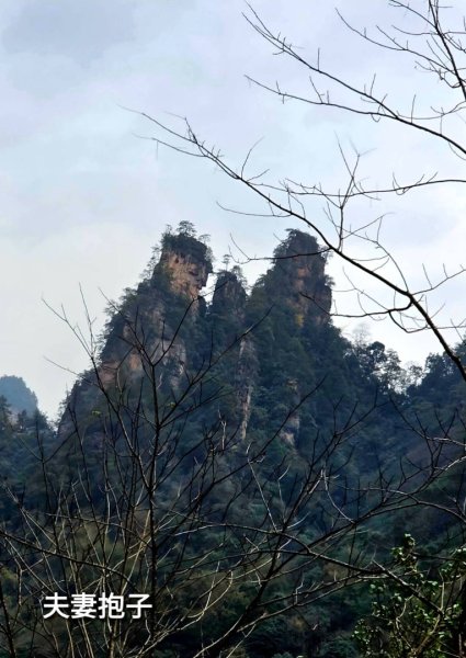 2025/11/8-10張家界園區2939342