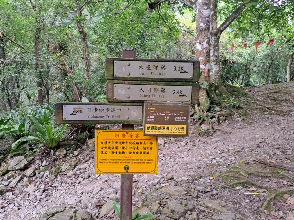 砂卡礑二日行D2：大同部落→千里眼山→砂卡礑步道→小錐麓步道→遊客中心202312032368727