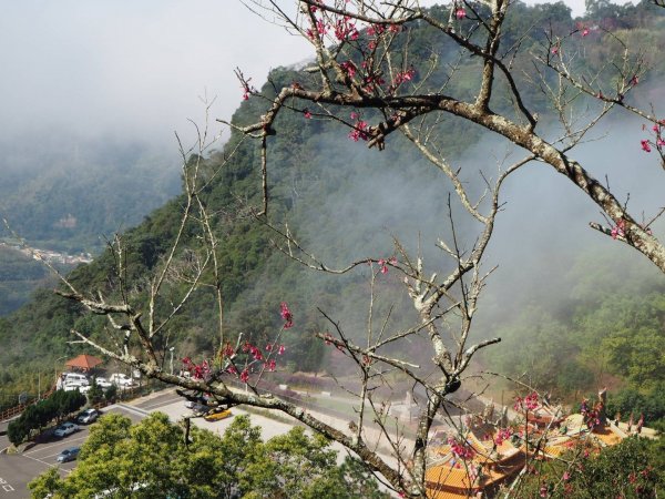 苗栗獅潭仙山步道O型20190212523935