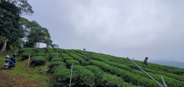 神阿縱走前的前哨站_獵人古道連接望美山與瓊山2333437