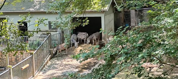 杭州動物園3089163