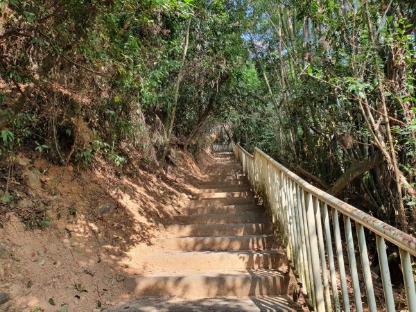 松柏嶺登廟步道1188990