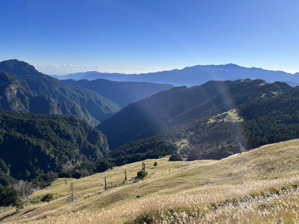 雪山西稜 2023_1103(D2) 雪山主峰2341590