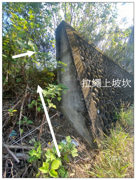 將軍山 (苗栗市)2691224