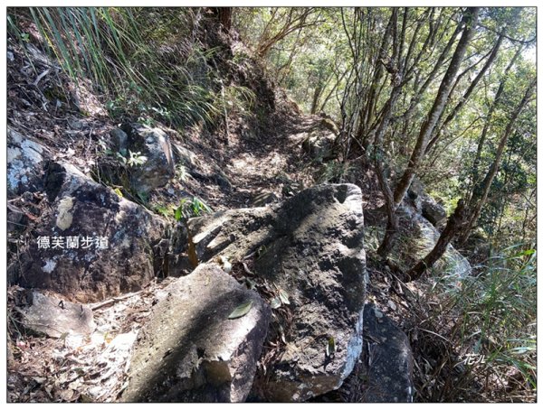 東卯山、東卯山西峰、東卯山西南峰 連走2932820