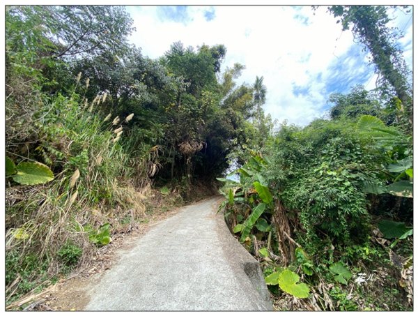 大堀底山 (穿霧隘勇線)3023658