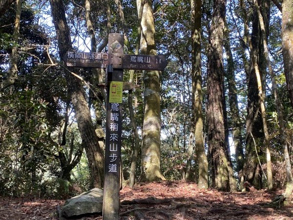 鳶嘴山捎來國家步道3060299