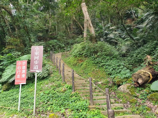 小東河步道1272645