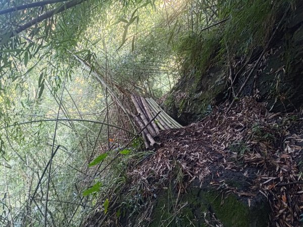 嚼嚼斯古道，嚼嚼斯部落遺址，鱉頭山2606050