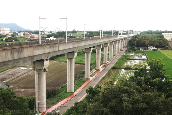 〔台中〕外埔水流東桐花步道，薑荷花農場2279223