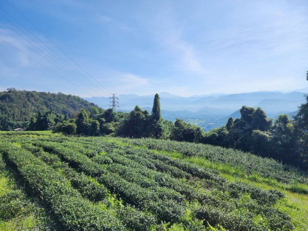 小百岳No.49⛰貓囒山2555050