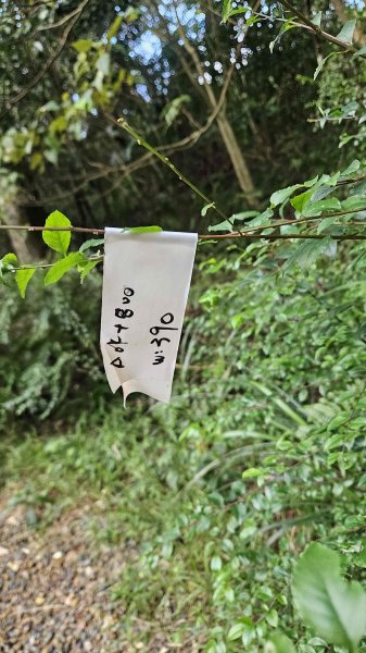 20251123大湖坑步道-詹公厝2942925