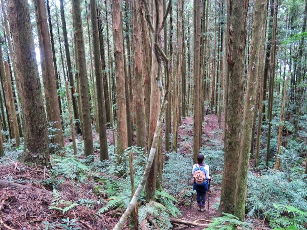 李棟山 大混山縱走1111607