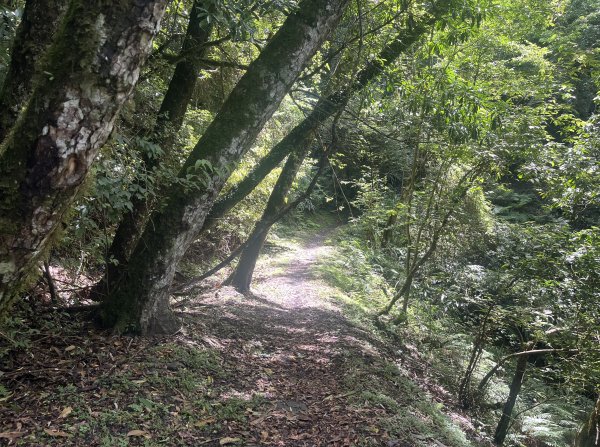 2025_0622 霞喀羅國家步道(石鹿端)2819528