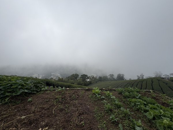 20251024雲嘉五連峰+碧湖山2924226