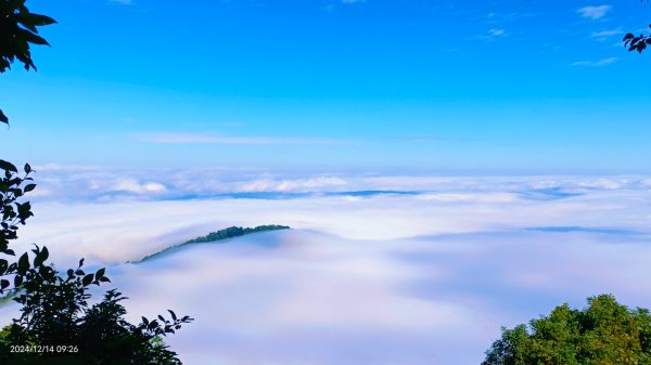 二訪馬拉邦山，解鎖 #琉璃光雲海 #日出雲海  #血月 #斜射光 #楓葉紅了！2668588