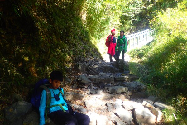 登峰造極--2018玉山主峰532654