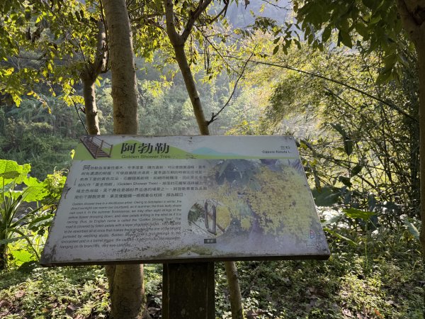 [淡蘭古道] 2026_0315 南路第二段_外按古道3016434