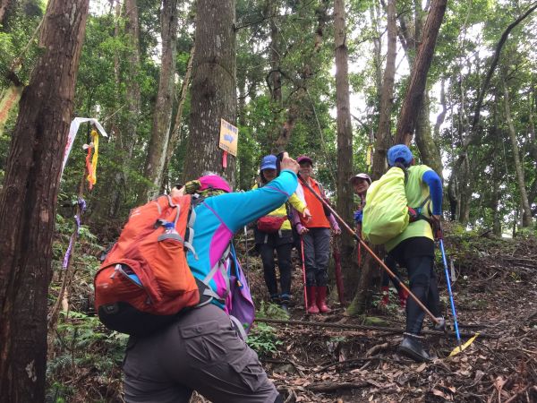 山神獸現身加里山129564