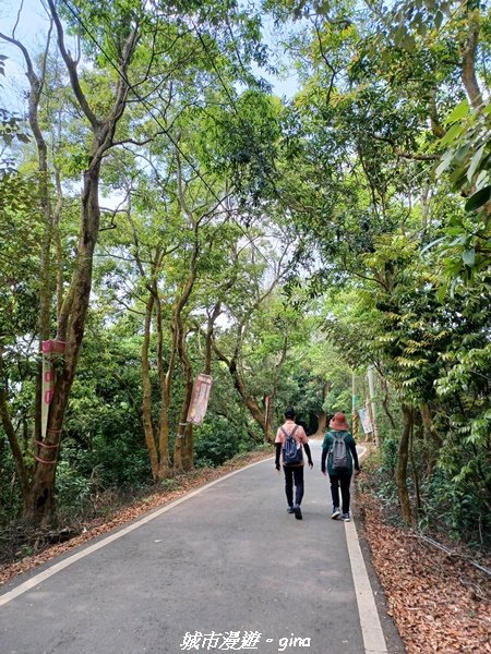 【彰化員林】員林百果山上最具人氣的休閒步道。 台灣百大必訪步道。 藤山步道1689461