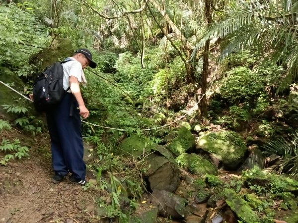 雙溪區威惠廟+下坑山+570峰+大埤格+崩山坑古道O型2814827