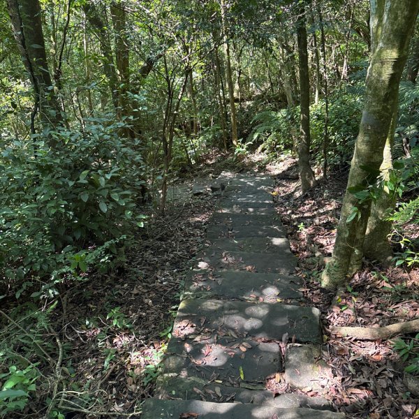 大崙頭山、大崙尾山2922668