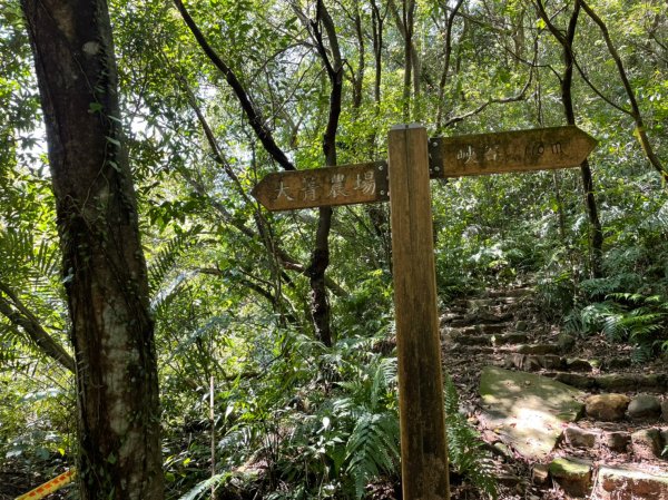 新北｜瑞芳．雙溪 淡蘭古道中路．暖東舊道（TK2-1~2-5 暖東峽谷步道、暖東舊道、五分山步道）2004156