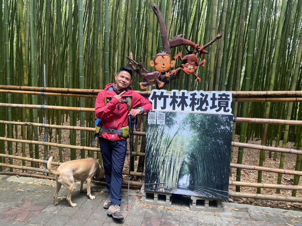 烏嘎彥竹林步道.馬都安古道【因為堅持 所以更顯珍貴】2064482