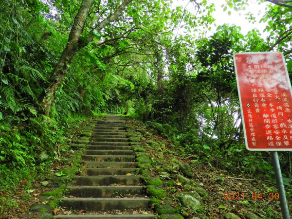 花蓮 撒固兒步道1368083