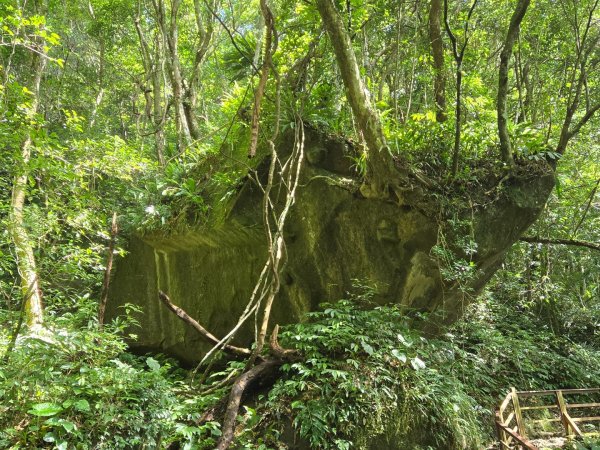 馬武督探索森林、外鳥嘴山2860630