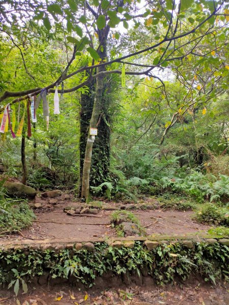 小觀音山封面