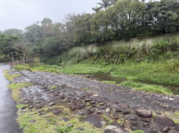 [樟之細路_第一大段RSA01] 2026_0329 大平紅橋3026643