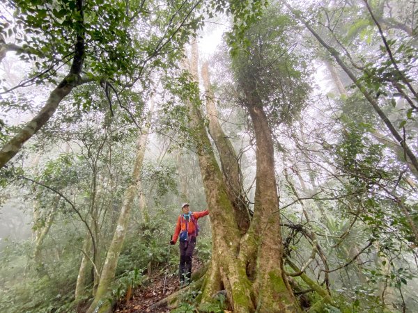 霧雨濛濛南橫玉穗山行 2021181233437