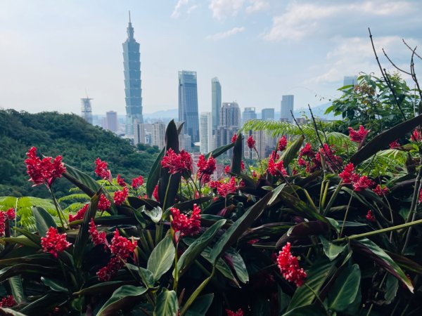 1140513象山峰-永春崗平台O繞2785607