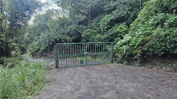 20251124綠峰山莊到天籟-大孔尾步道-南勢湖步道2944095