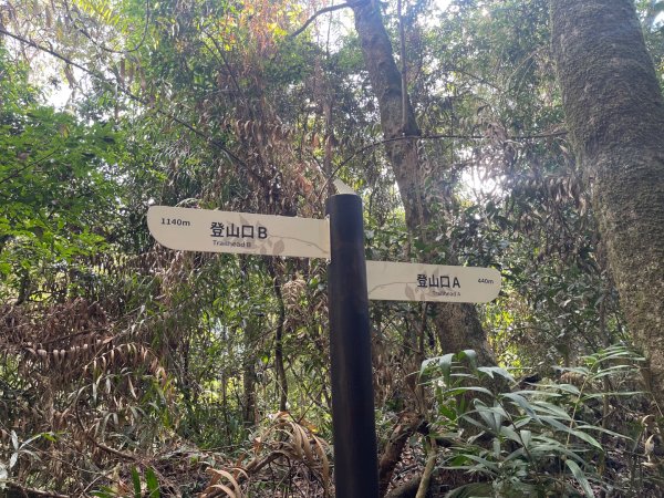 1141129巨人之手｜雪山坑登山步道2949143