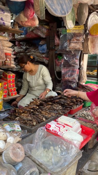 尼泊爾-世界最高村莊-南崎巴札-丁波切-最高海拔藏佛寺廟-雪人博物館-最危險機場-盧卡拉2789626