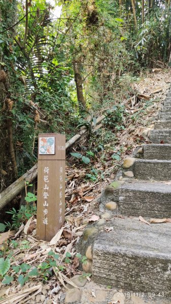 荷苞山登山步道720039