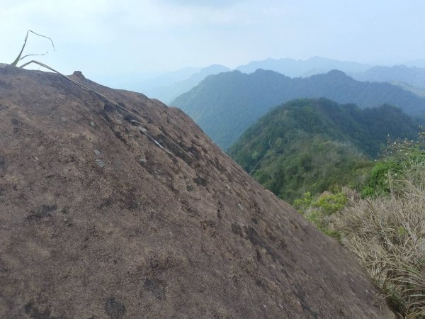 20230429台中太平大橫屏山北峰、大橫屏山北北峰2134378